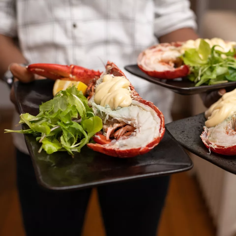 Kreeft “Belle Vue” 