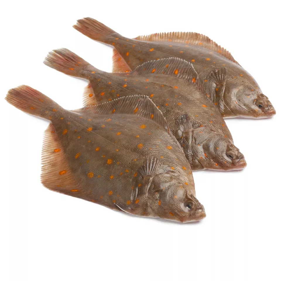 Pladijs